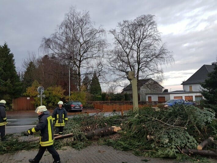 Breckerfeld: Baum umgestürzt