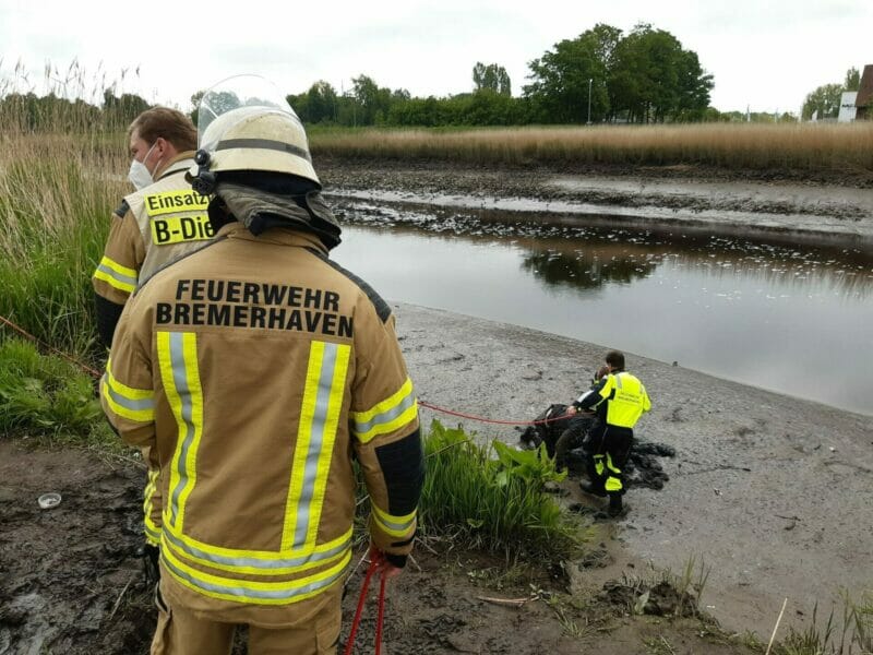 Bremerhaven: Feuerwehr rettet Angler aus dem Geesteufer
