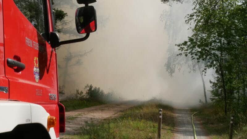 Celle: Waldbrand in Altencelle - rund 5.000 m² Unterholz brennen