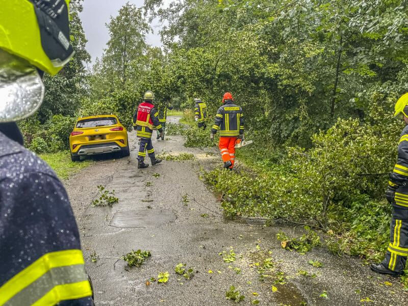 Flotwedel: Feuerwehren beseitigen umgestürzten Baum von PKW