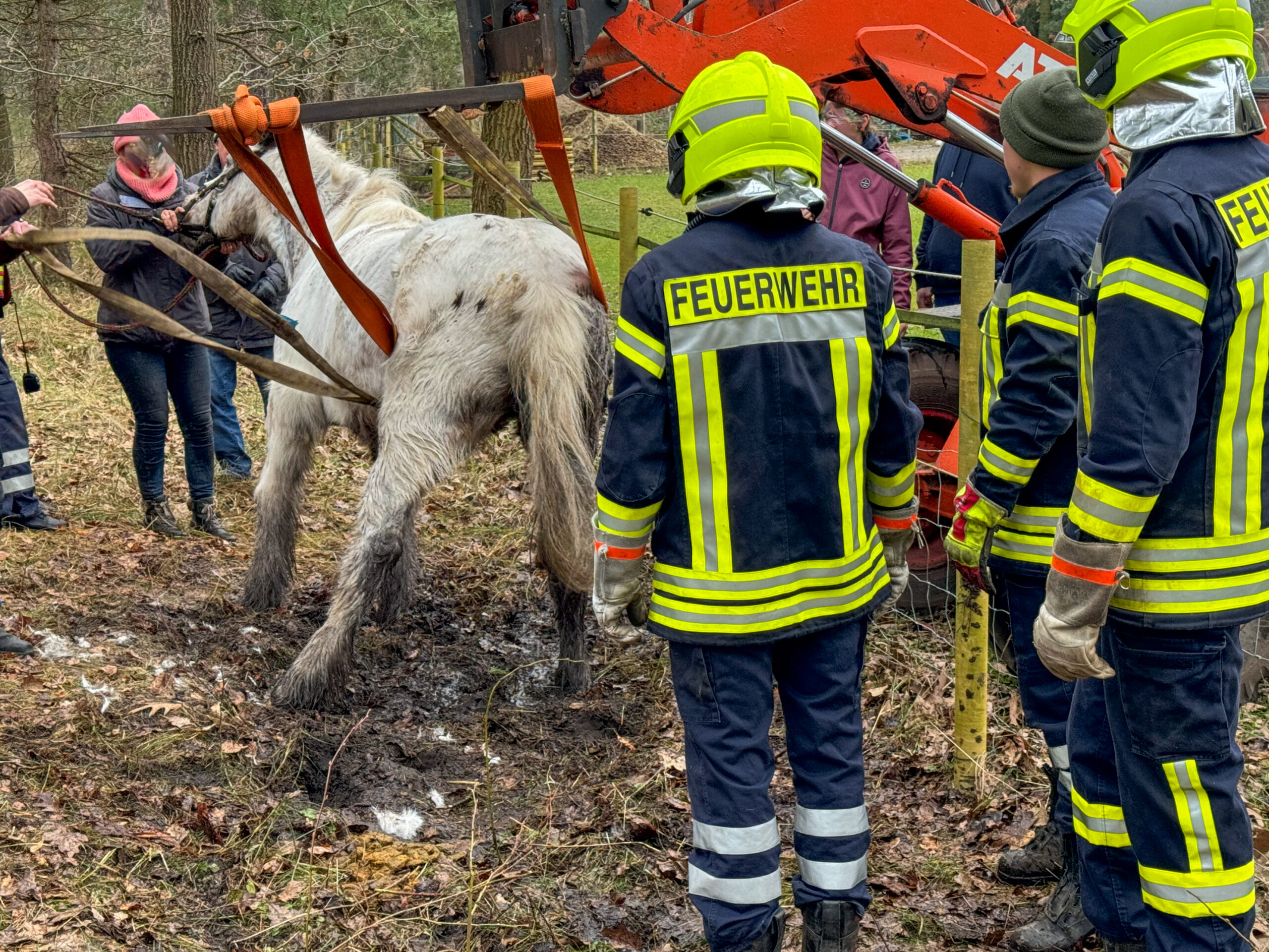 Flotwedel: Ortsfeuerwehr Nienhof befreit Pferd aus misslicher Lage