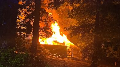 Alsdorf: Feuer zerstört Lagerhaus im Tierpark