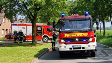 Bedburg-Hau: Heckenbrand - Feuerwehr warnt vor Einsatz von Gasbrennern